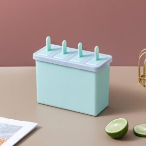 Durable Plastic Ice Cream Mold Compartment Tray